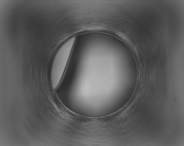 X0000052920201200507080809