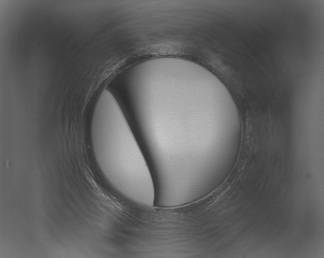 X0000052920202200507080809