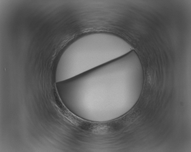 X0000052920206200507080809