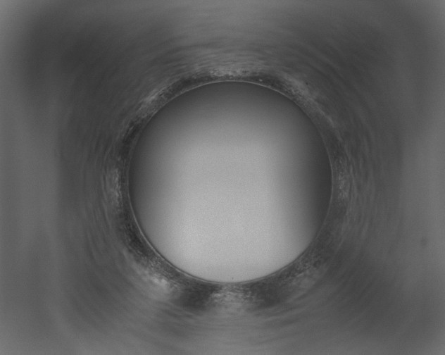 X0000052920211200507080809