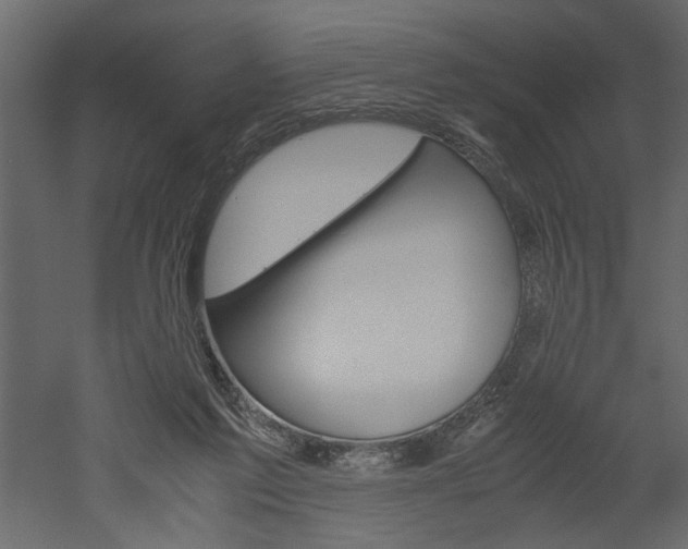 X0000052920213200507080809
