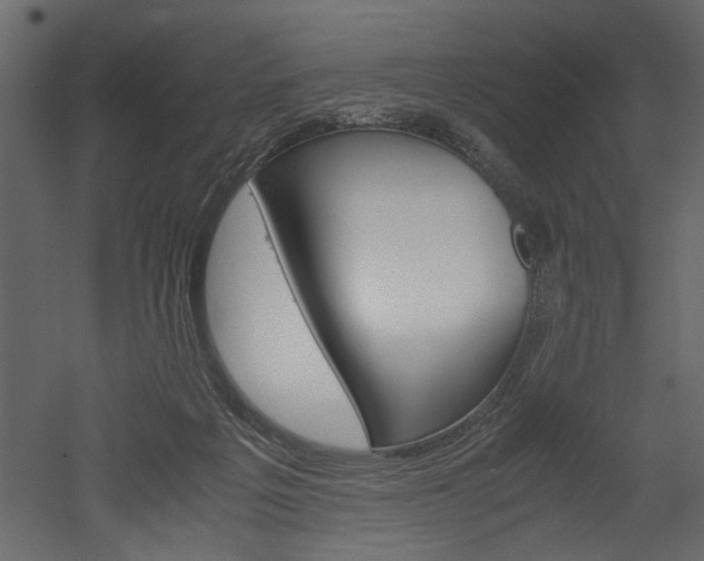X0000052920217200507080809