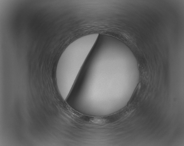 X0000052920221200507080809