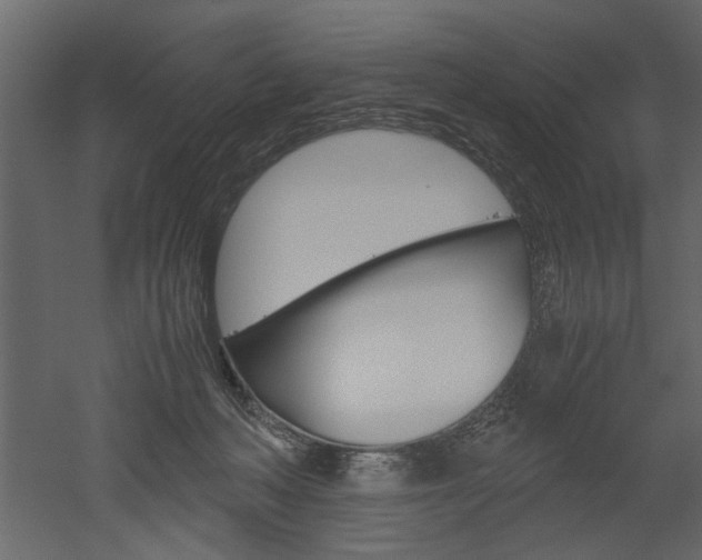 X0000052920222200507080809