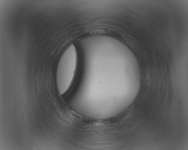 X0000052920224200507080809