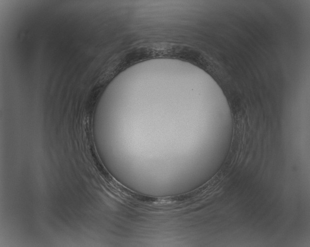 X0000052920225200507080809