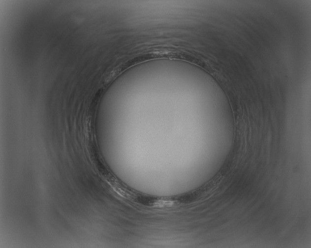 X0000052920227200507080809