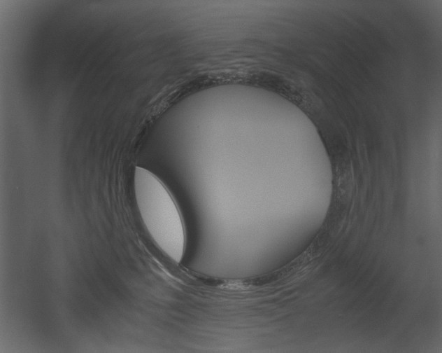 X0000052920231200507080809