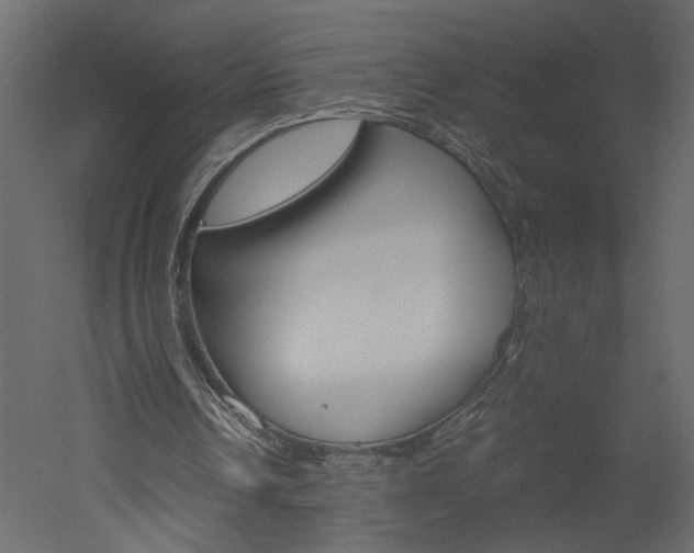 X0000052920242200507080808