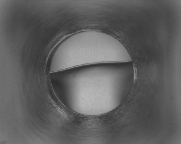X0000052920243200507080808