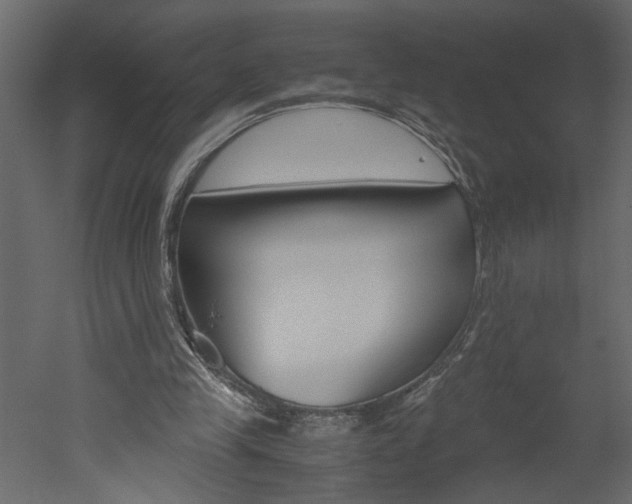 X0000052920245200507080808