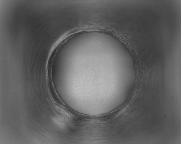 X0000052920246200507080808