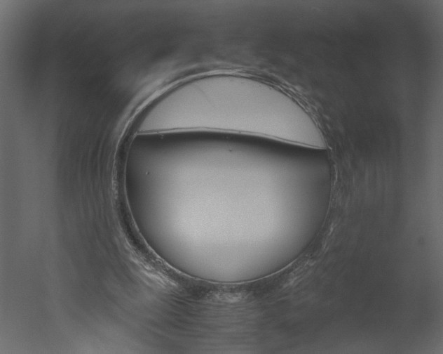 X0000052920247200507080808