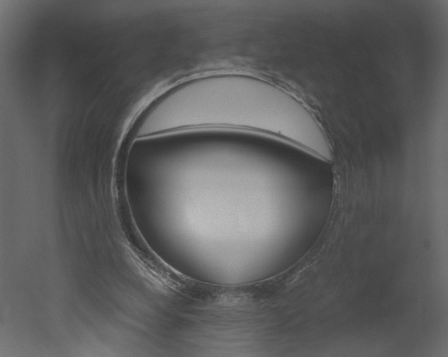 X0000052920248200507080808