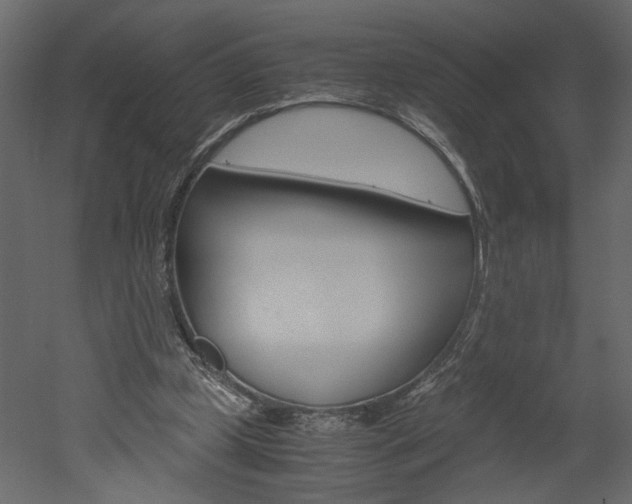 X0000052920249200507080808