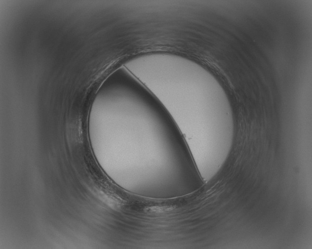X0000052920251200507080808