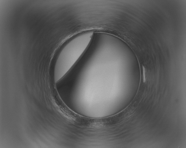 X0000052920252200507080808
