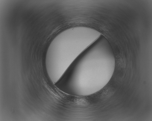 X0000052920262200507080808