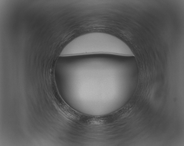 X0000052920263200507080808