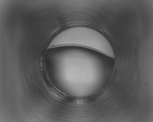 X0000052920264200507080808