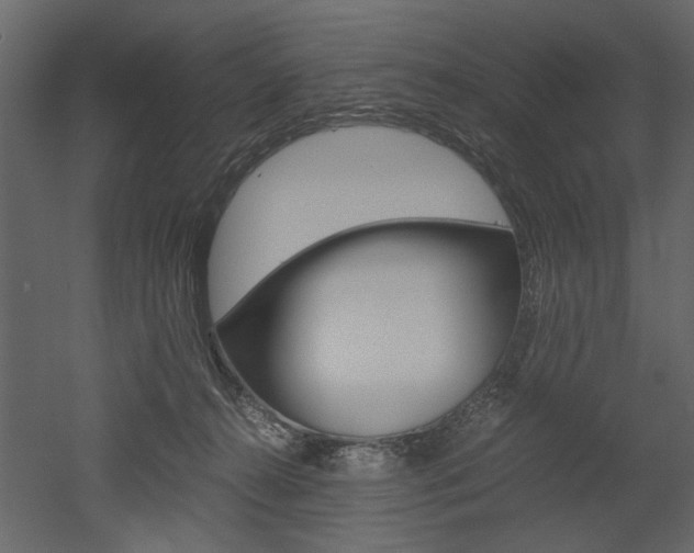 X0000052920272200507080808