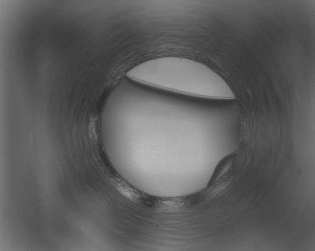 X0000052920286200507080809