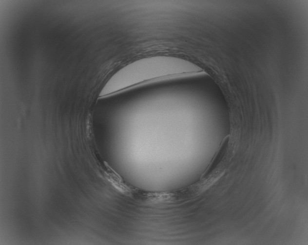 X0000052920288200507080809