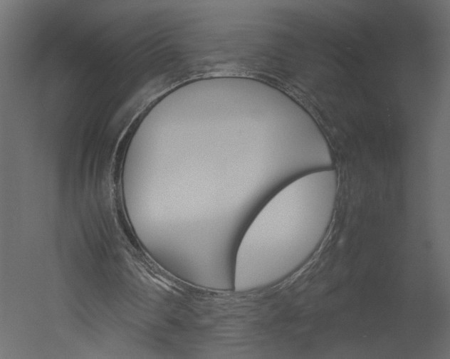 X0000052920290200507080808