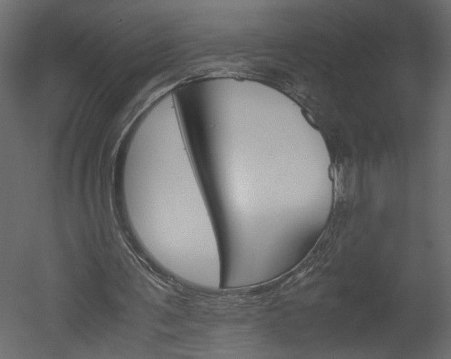 X0000052920291200507080808