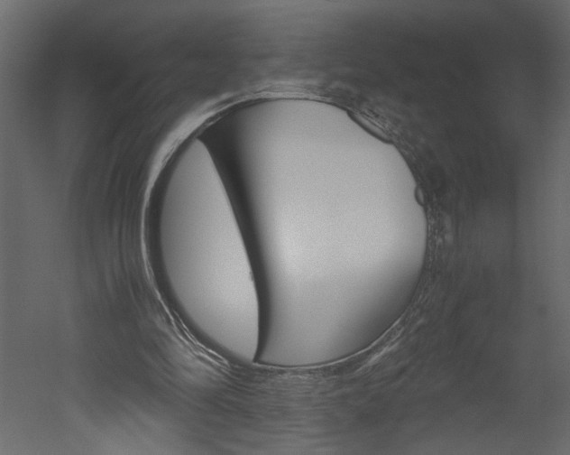 X0000052920294200507080808