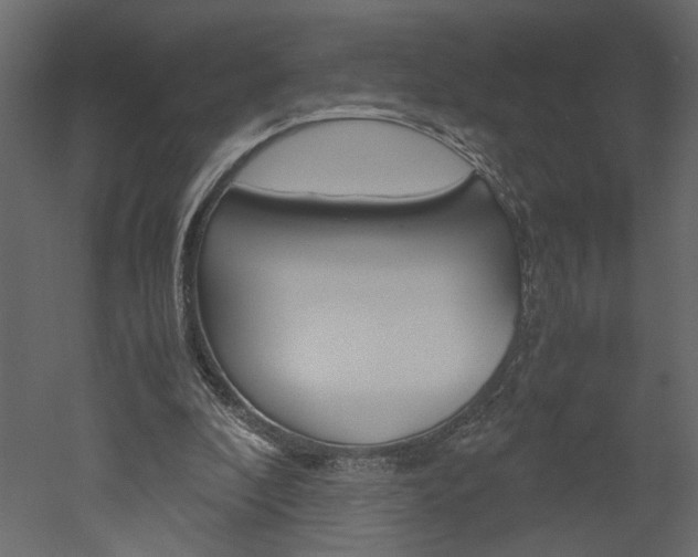 X0000052920296200507080808