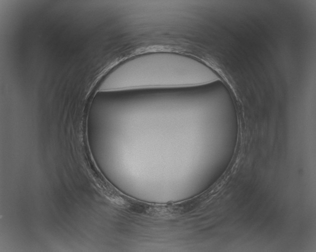 X0000052920297200507080808