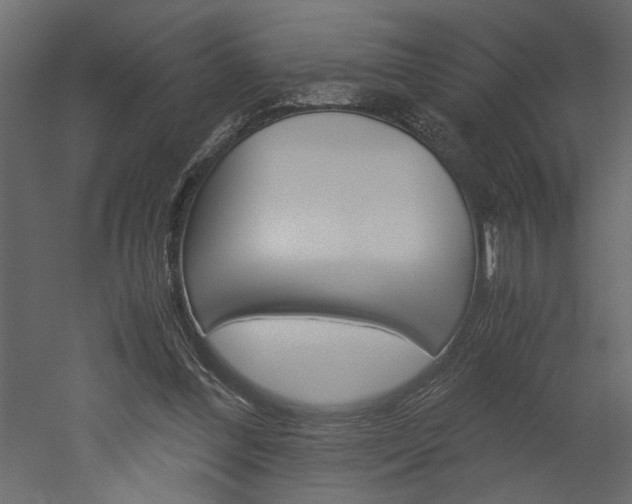 X0000052920300200507080808