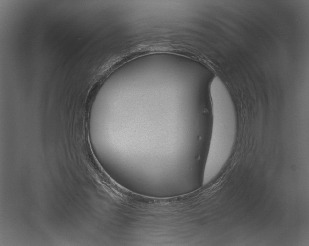 X0000052920301200507080808