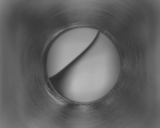 X0000052920302200507080808