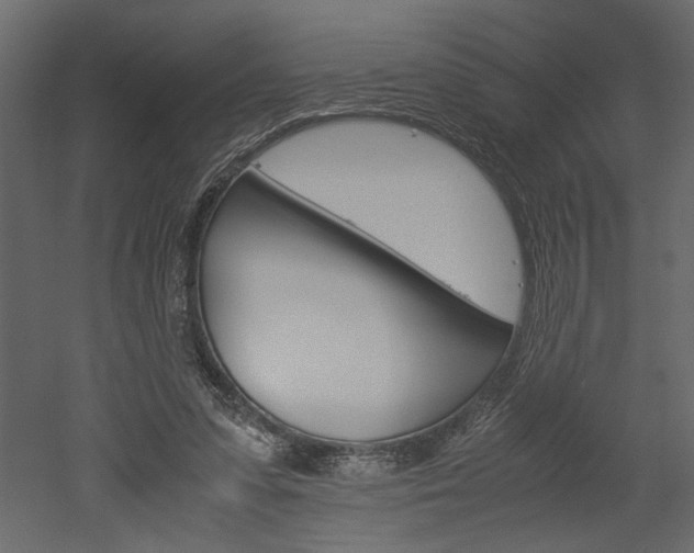 X0000052920303200507080808