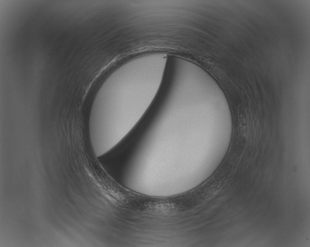 X0000052920304200507080807