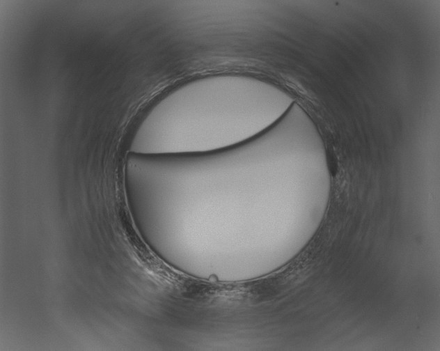 X0000052920306200507080807