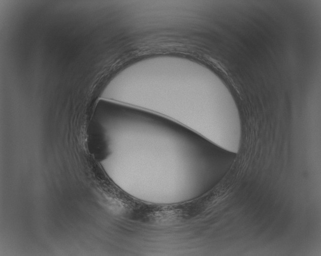 X0000052920307200507080807