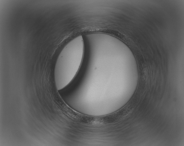 X0000052920308200507080807