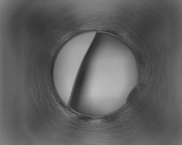 X0000052920309200507080807