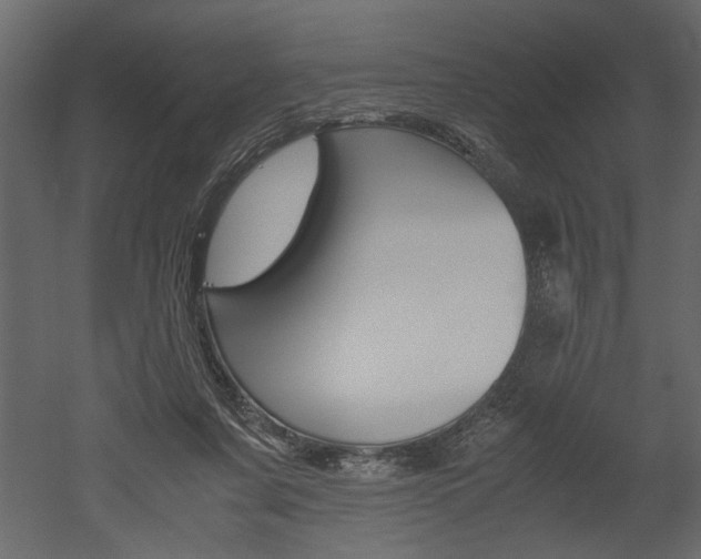 X0000052920311200507080807