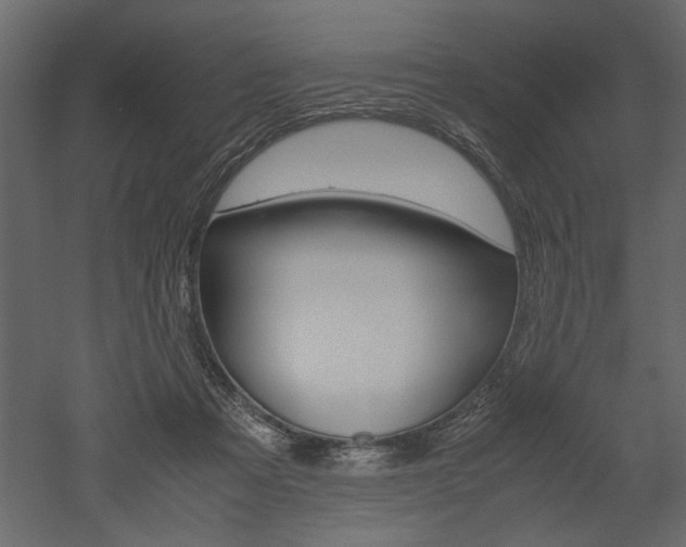 X0000052920313200507080807
