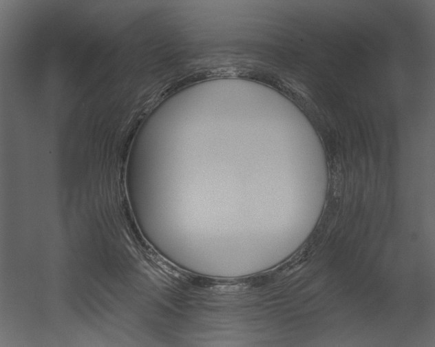 X0000052920314200507080807