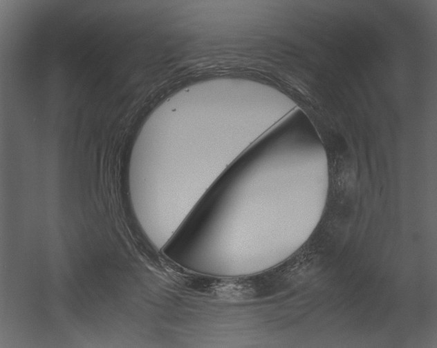 X0000052920315200507080807