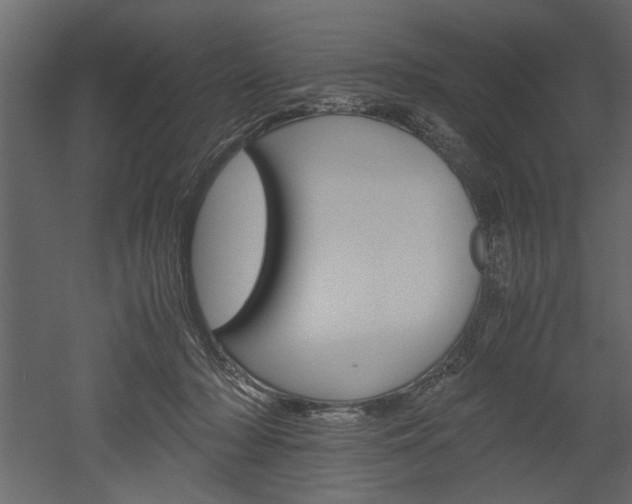 X0000052920318200507080807