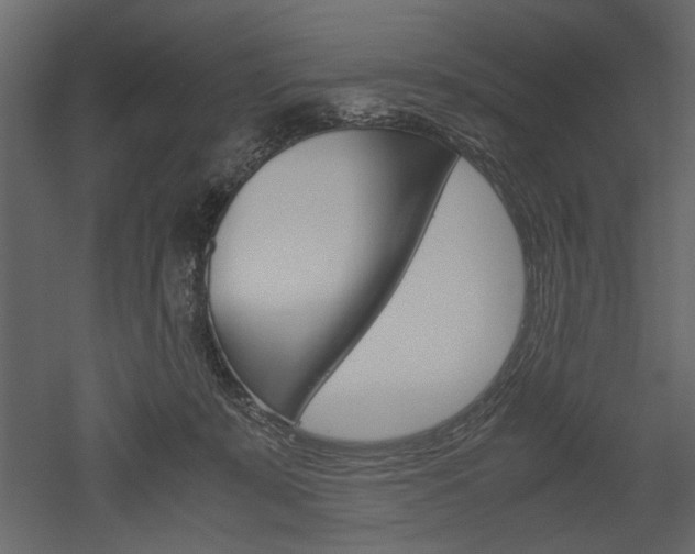 X0000052920319200507080807
