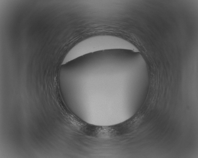 X0000052920321200507080807