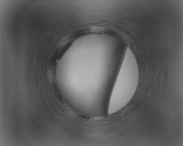 X0000052920329200507080807