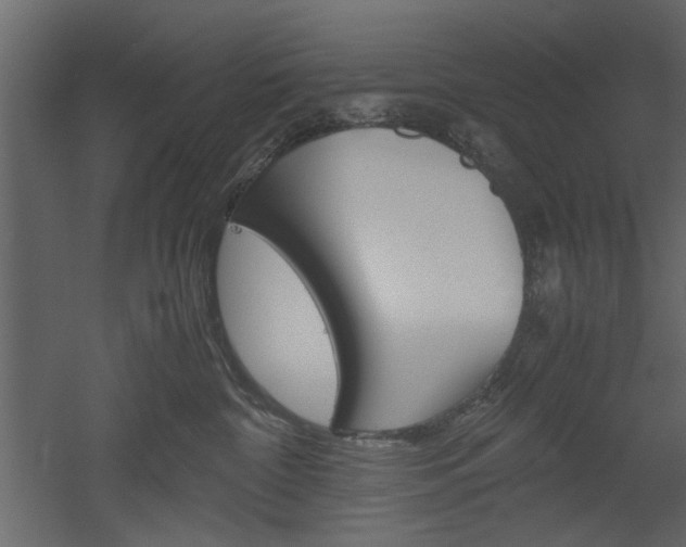 X0000052920332200507080807